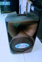 Impulse Midrange speaker