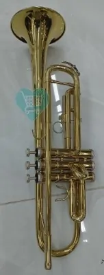 Trumpet Gold - Image 4