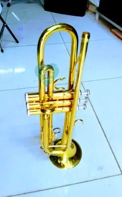 Trumpet Gold - Image 2