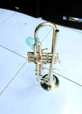 Trumpet Silver - Image 3