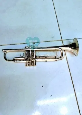 trumpet