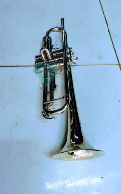 Trumpet Silver - Image 2