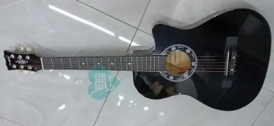 Acoustic Guitar