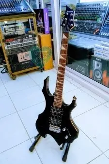 Guitar